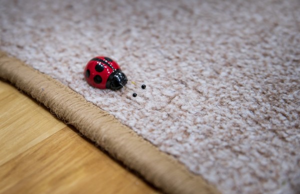 Учебно-тренировочные сборы - осень 2021 г., часть 1